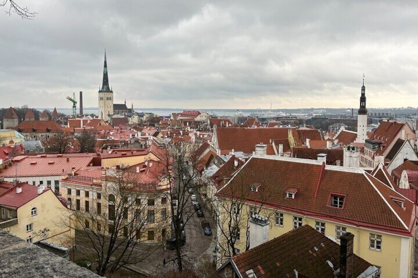 Tallinn Photography Private Activity 1