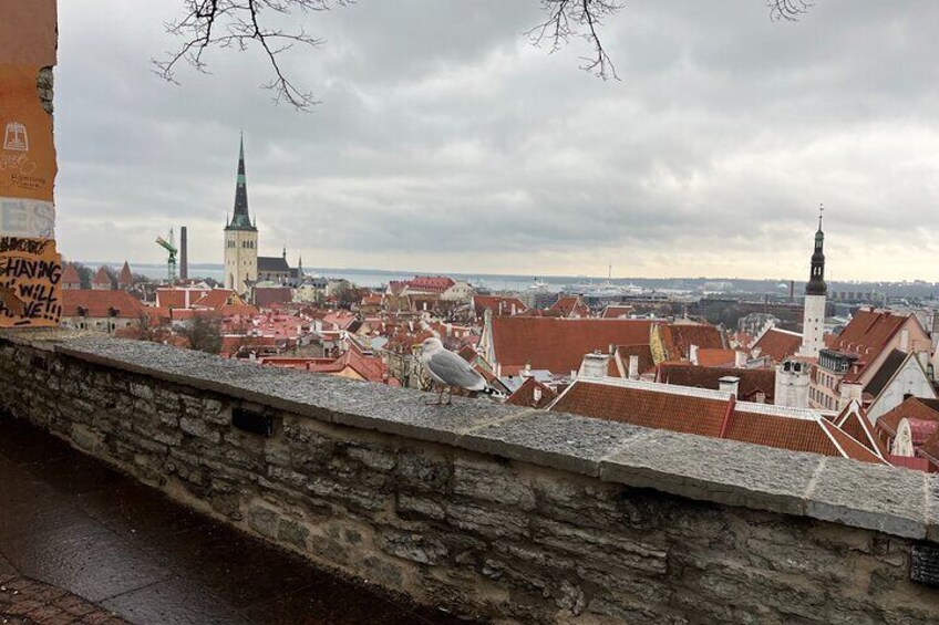 Tallinn Photography Private Activity 2