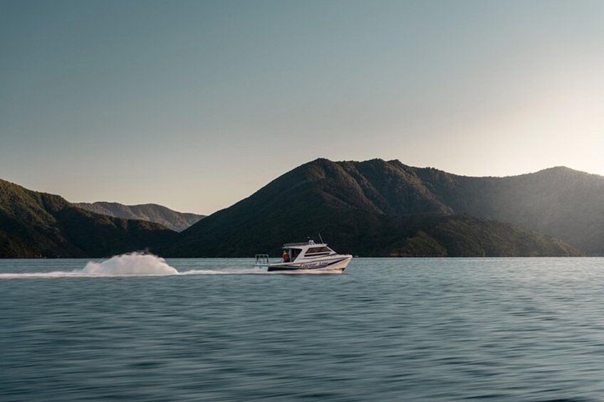 A boat moving on calm water with mountains in the background. 5