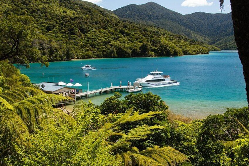 A coastal landscape with a pier, boats, and lush greenery. 4