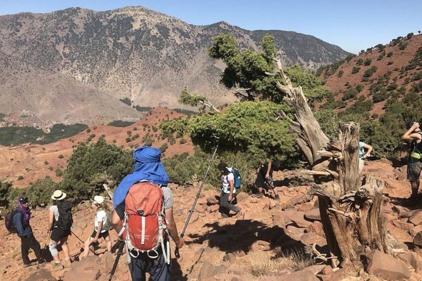 Senderistas en un sendero pedregoso con montañas al fondo. 1