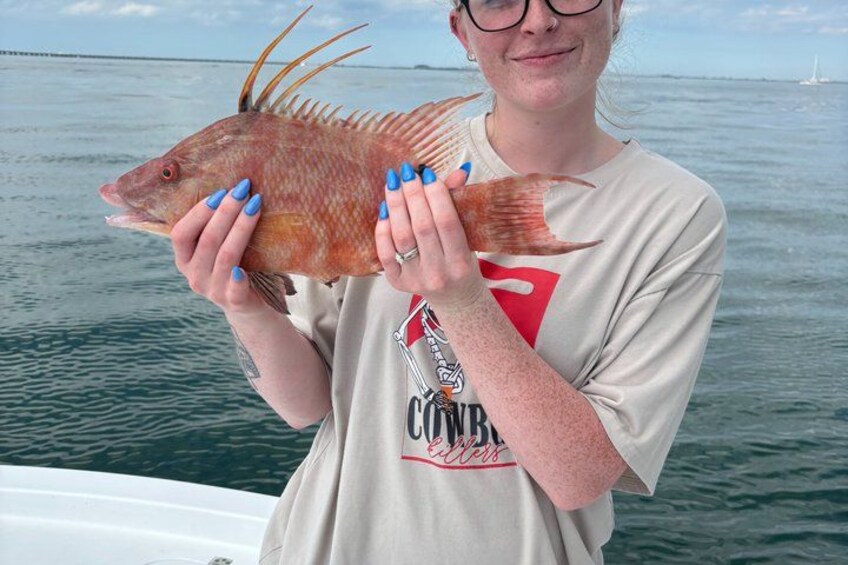 6 Hour Inshore Fishing and Island Relaxation Trip 5