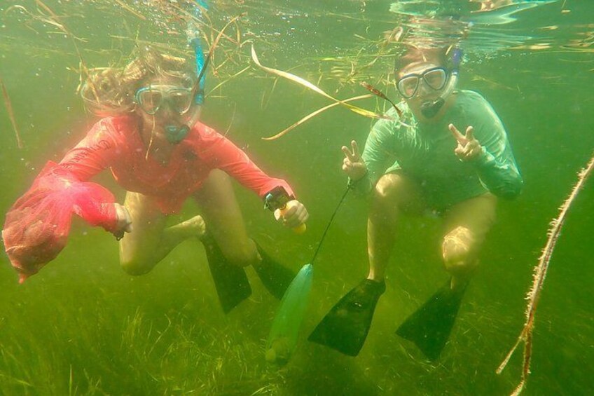 Two people scuba diving underwater, surrounded by aquatic plants and clear water. 2