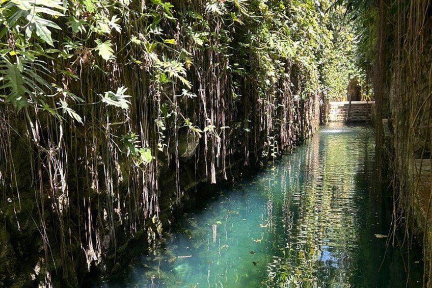 Uxmal and Hacienda Mucuyché: A Journey to the Heart of the Mayan World 2