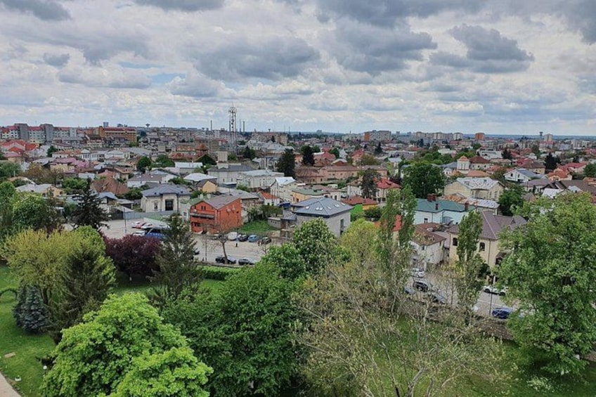 A cityscape with residential buildings, a distant tower, and a cloudy sky. 2