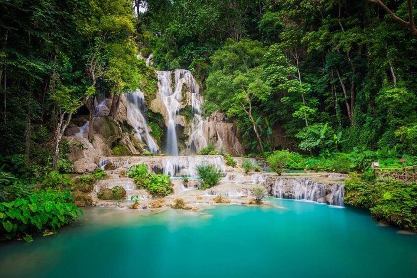 Une cascade se jetant dans une piscine aux eaux turquoise, le tout entouré d’une végétation luxuriante. 1