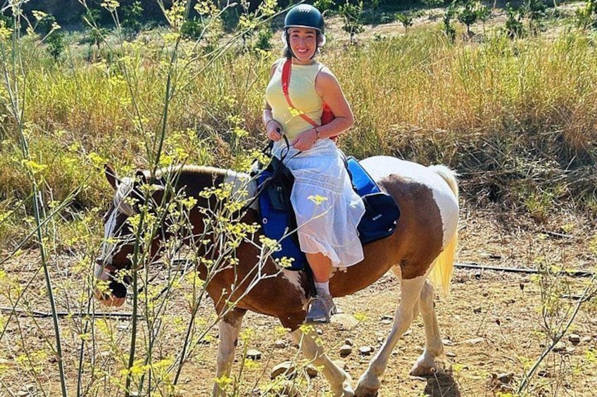 A scenic and relaxing experience among olive groves and nature 3