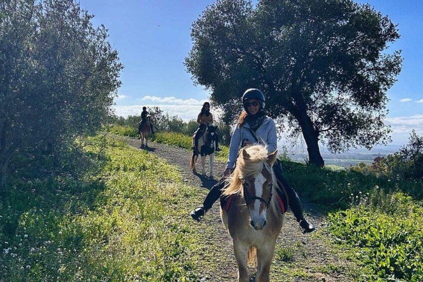 Saddle up and explore the landscapes around Catania 2
