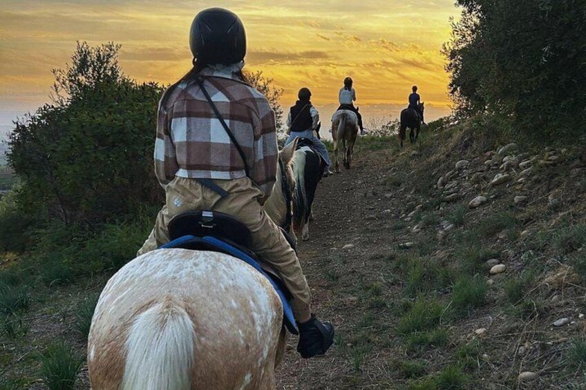Discover rural trails and authentic landscapes on horseback in Sicily 4