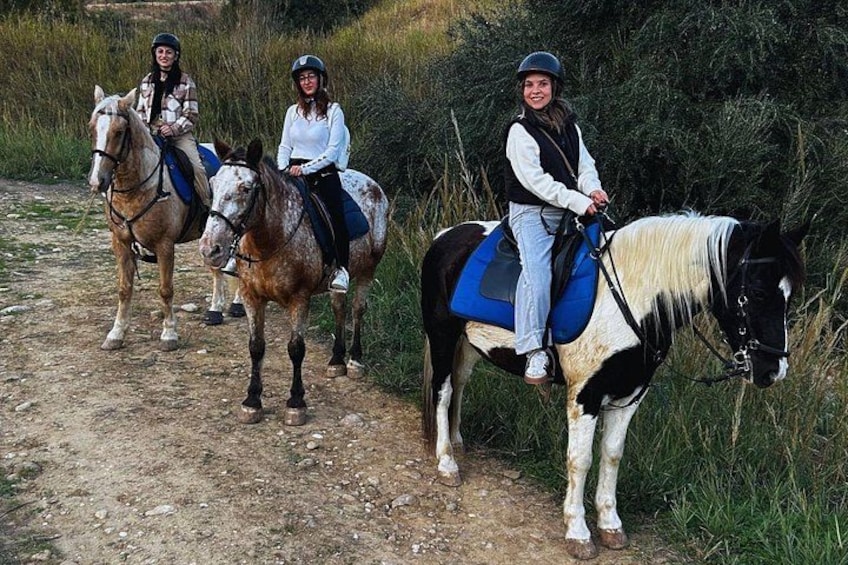 Guided horse riding in Misterbianco, suitable for beginners 5