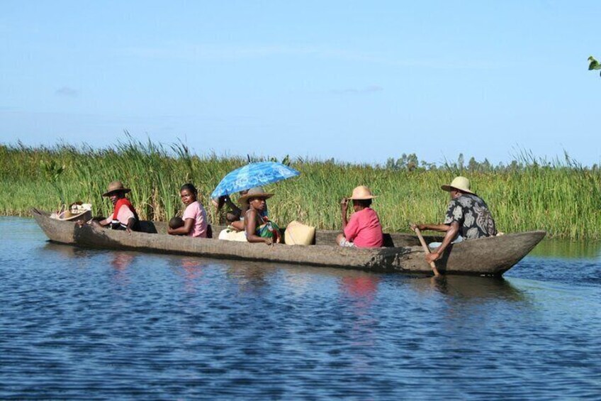 A group of people in a longboat on a calm river, surrounded by tall grass and reeds. 5