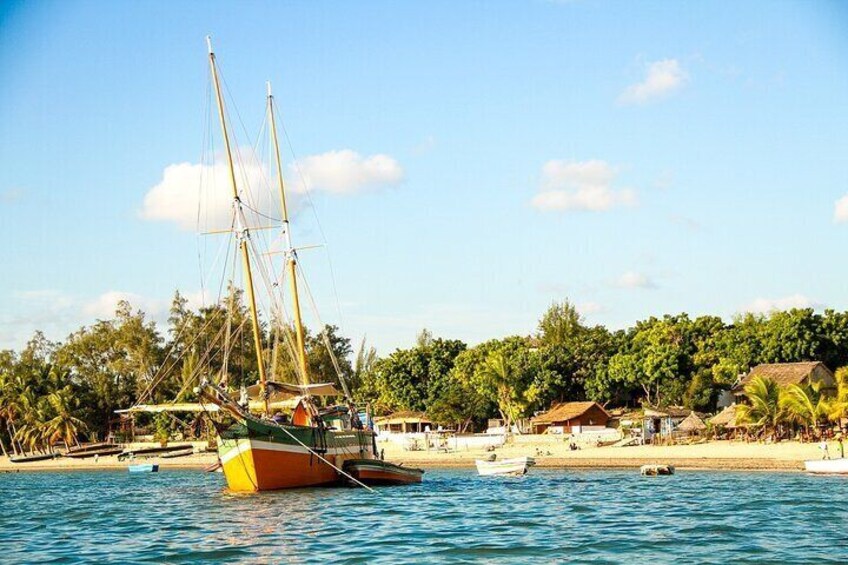 A sailboat on calm waters with a beach and palm trees in the background. 3