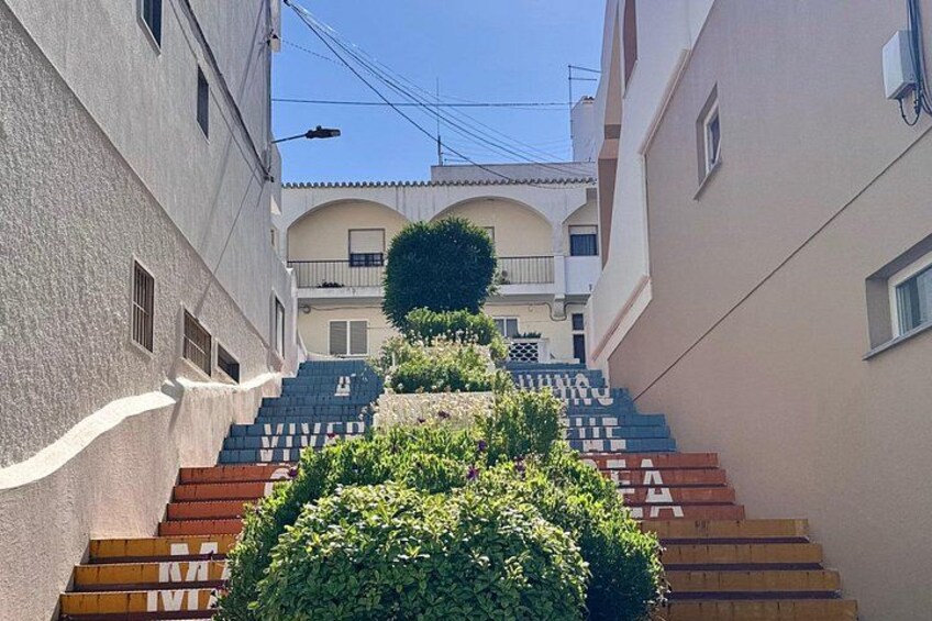 Una calle estrecha con escalones que conducen a un edificio, rodeado de vegetación y cielos despejados. 3