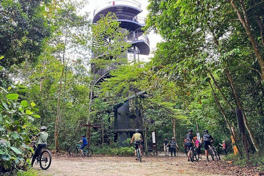 Singapore Mountain Biking 4