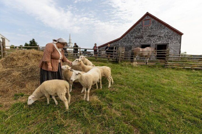 Bell Museum Baddeck to Highland Village Museum in CAPE BRETON 3