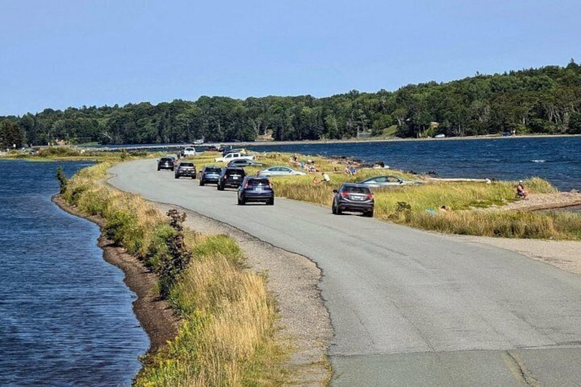 A coastal road with cars driving along it, a beach with people in the background, and a forested area across the water. 5