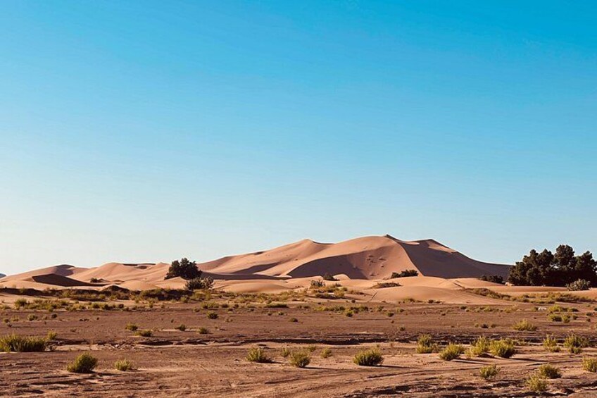 A desert landscape with sand dunes and sparse vegetation. 5