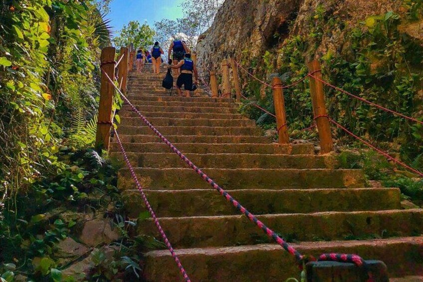 Una escalera de piedra con barandillas de madera y cuerdas, rodeada de follaje. 3