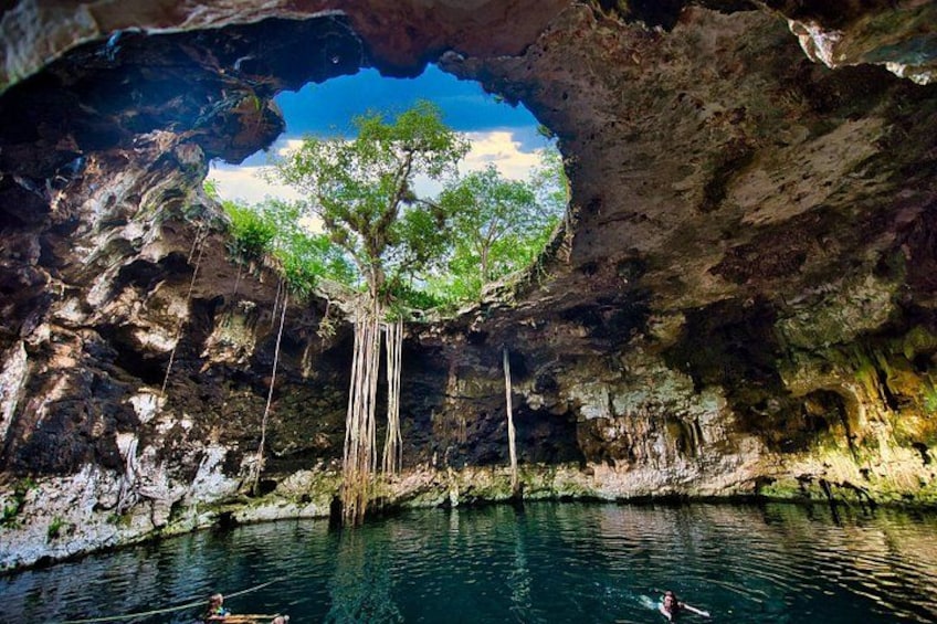 Una cueva con un árbol creciendo en su interior, agua en el fondo y una persona nadando. 1