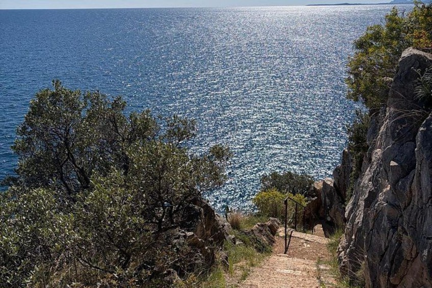 Un paysage côtier avec un sentier rocheux menant à la mer, entouré d’arbres et de végétation. 5