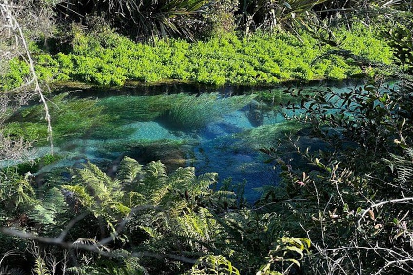 A clear water body surrounded by dense green vegetation. 3