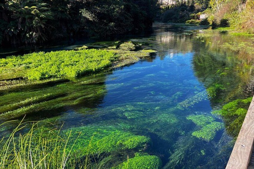 A river with clear water, surrounded by green vegetation and a wooden bridge. 2
