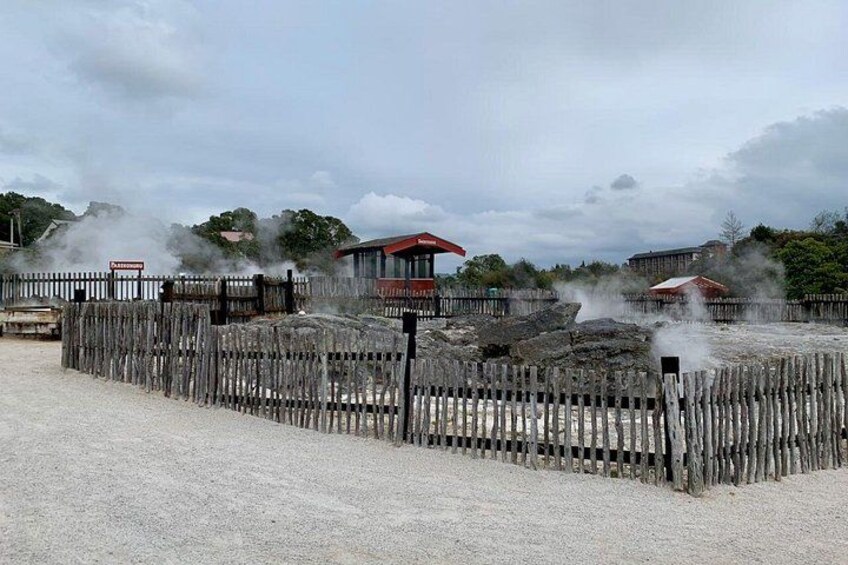 Whakarewarewa 3