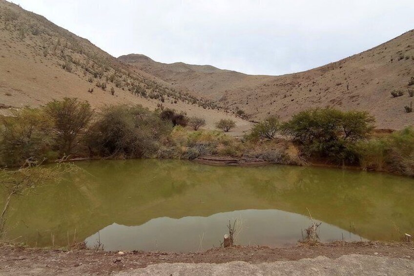 Elqui Valley Nature Immersion | Wellness & Sound Healing 2