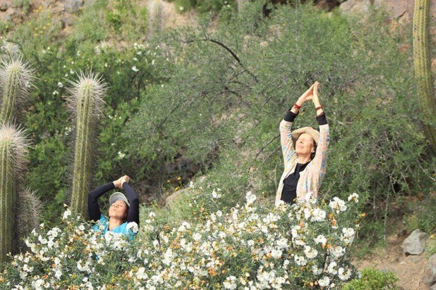 Due persone si stirano in un paesaggio desertico con cactus e piante fiorite. 1