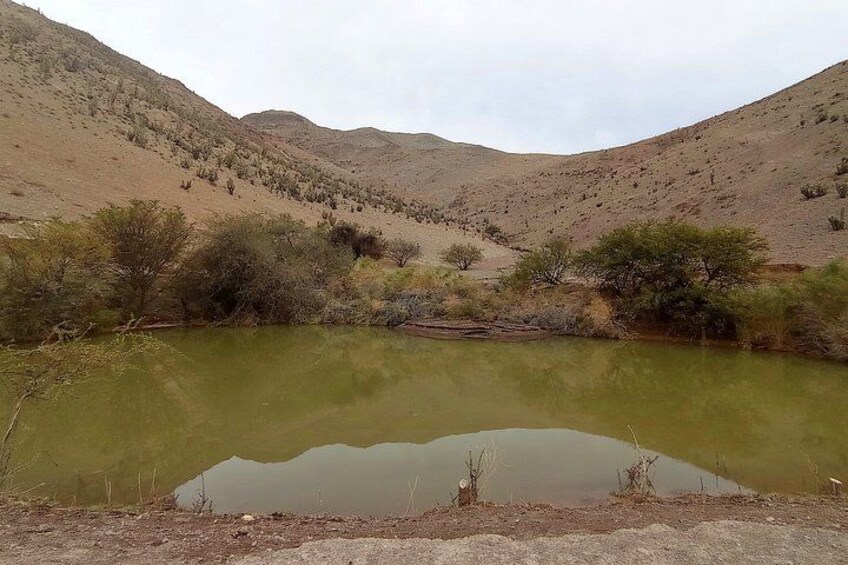 Paesaggio desertico con un piccolo stagno circondato da vegetazione rada e colline. 2