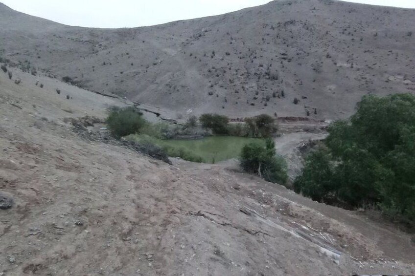 Elqui Valley Nature Immersion | Wellness & Sound Healing 3
