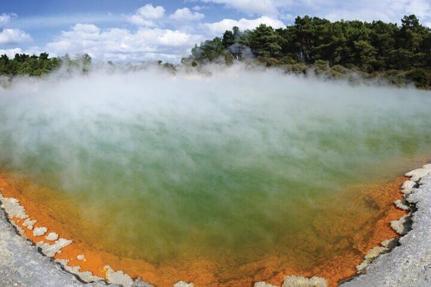 Zona geotérmica con vapor ascendiendo desde el agua, rodeada de árboles. 5