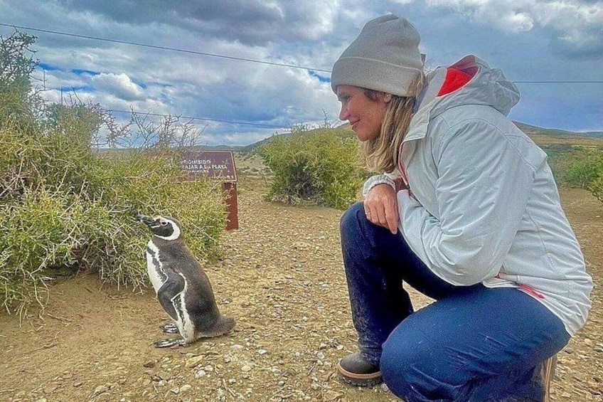A person crouching next to a penguin on a dirt path with a sign in the background. 4