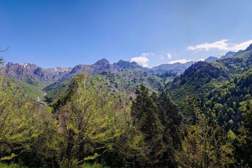 A mountainous landscape with dense forests and a winding valley. 3