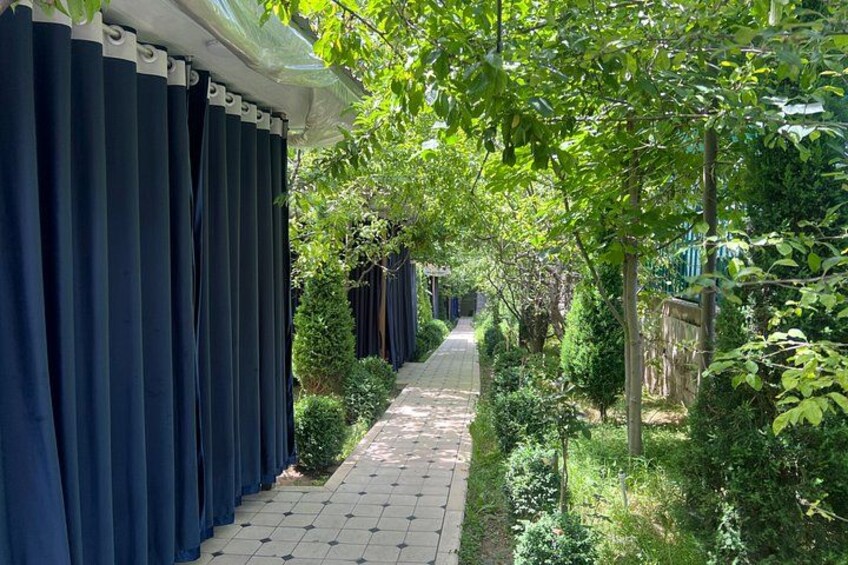 A garden pathway lined with blue curtains, surrounded by lush greenery and trees. 3