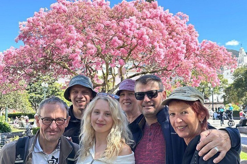 Un grupo de personas de pie frente a un gran árbol de flores rosadas. 5