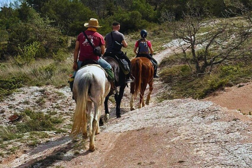 Three people riding horses on a dirt path surrounded by sparse vegetation. 5