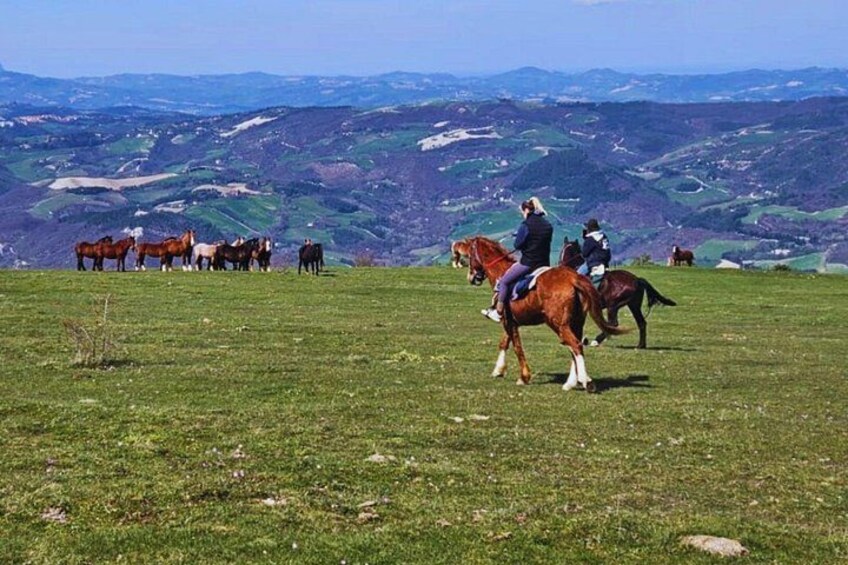 A group of people riding horses on a grassy hill with a mountainous landscape in the background. 3