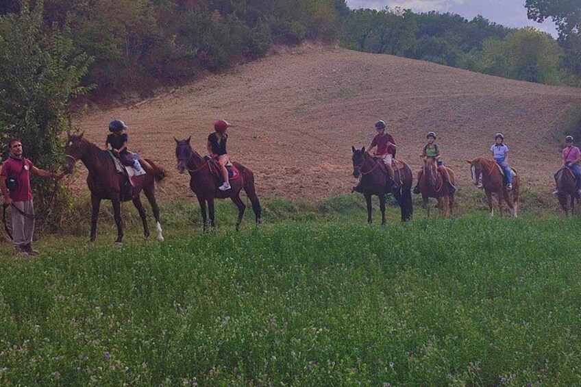 A group of people riding horses on a grassy hill. 2