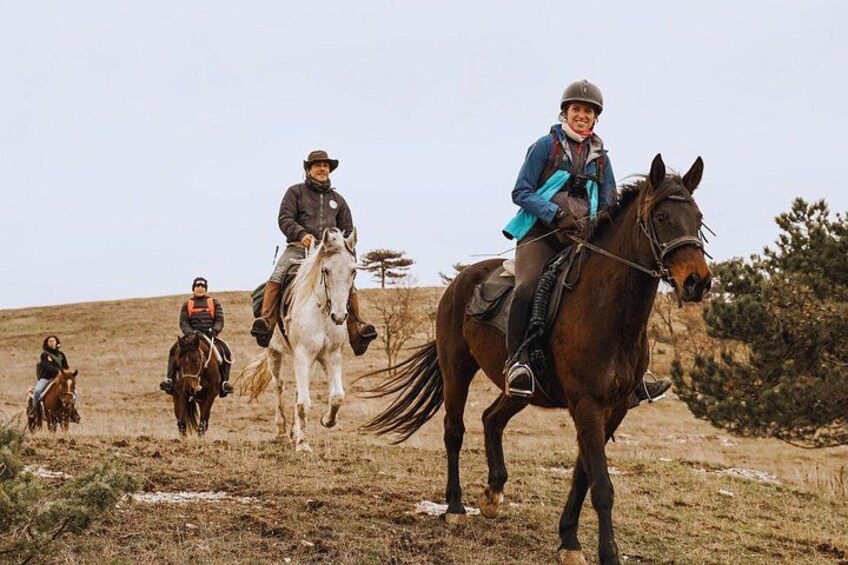A group of people riding horses on a grassy hill. 1