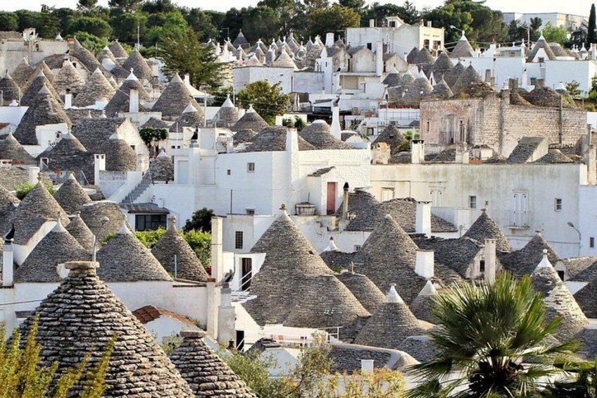 Alberobello Self-Guided Tour Departing from Bari by GT Bus 1