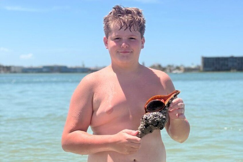A person holding a shell near a body of water with a clear sky. 5