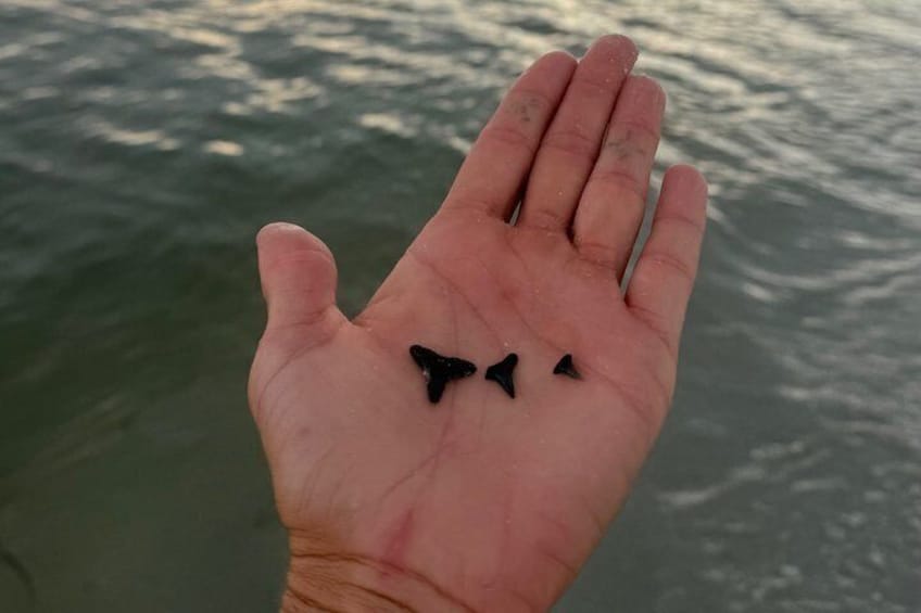 A hand holding three small black objects over a body of water. 4