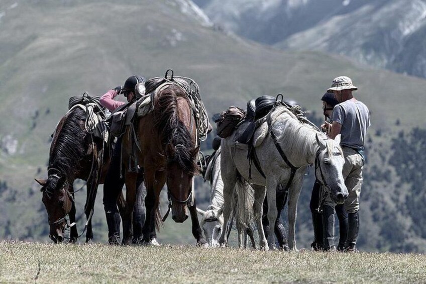 Un grupo de caballos con jinetes en una zona montañosa. 3