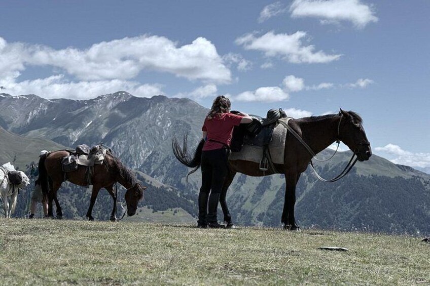 Una persona con un caballo en un campo cubierto de hierba, con montañas al fondo. 5