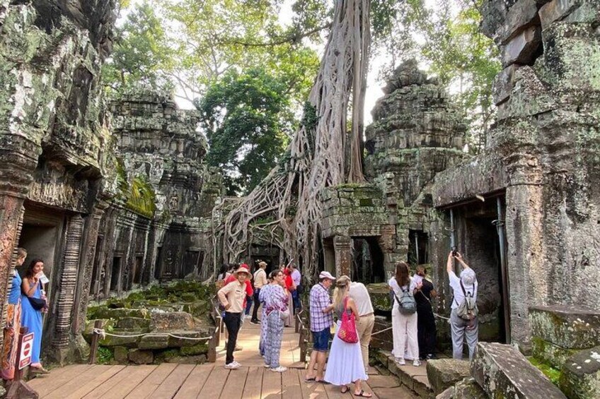 A group of tourists at a historical site with ancient stone structures and large trees. 3