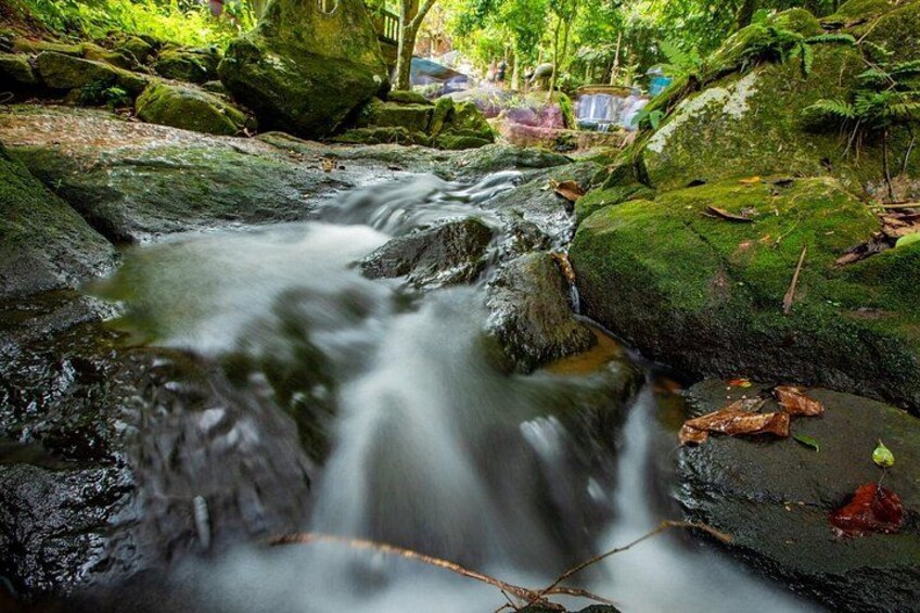 Private Koh Samui 4x4 Safari Temples and Viewpoints Tour 5