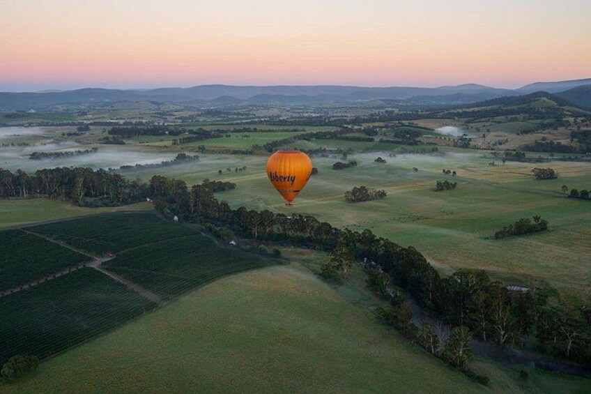 A hot air balloon over a rural landscape with fields and trees. 5