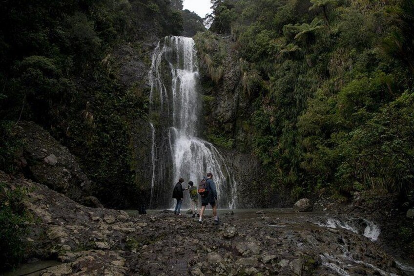 A waterfall surrounded by lush greenery. 3