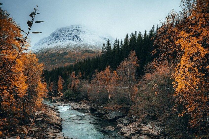 13-day Norway tour with nature, art, and deep transformation 4